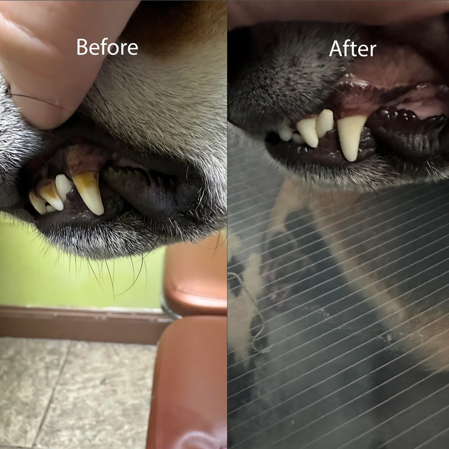 Doggies™ Selenium & Chelated Minerals Dental & Heart Health Chew