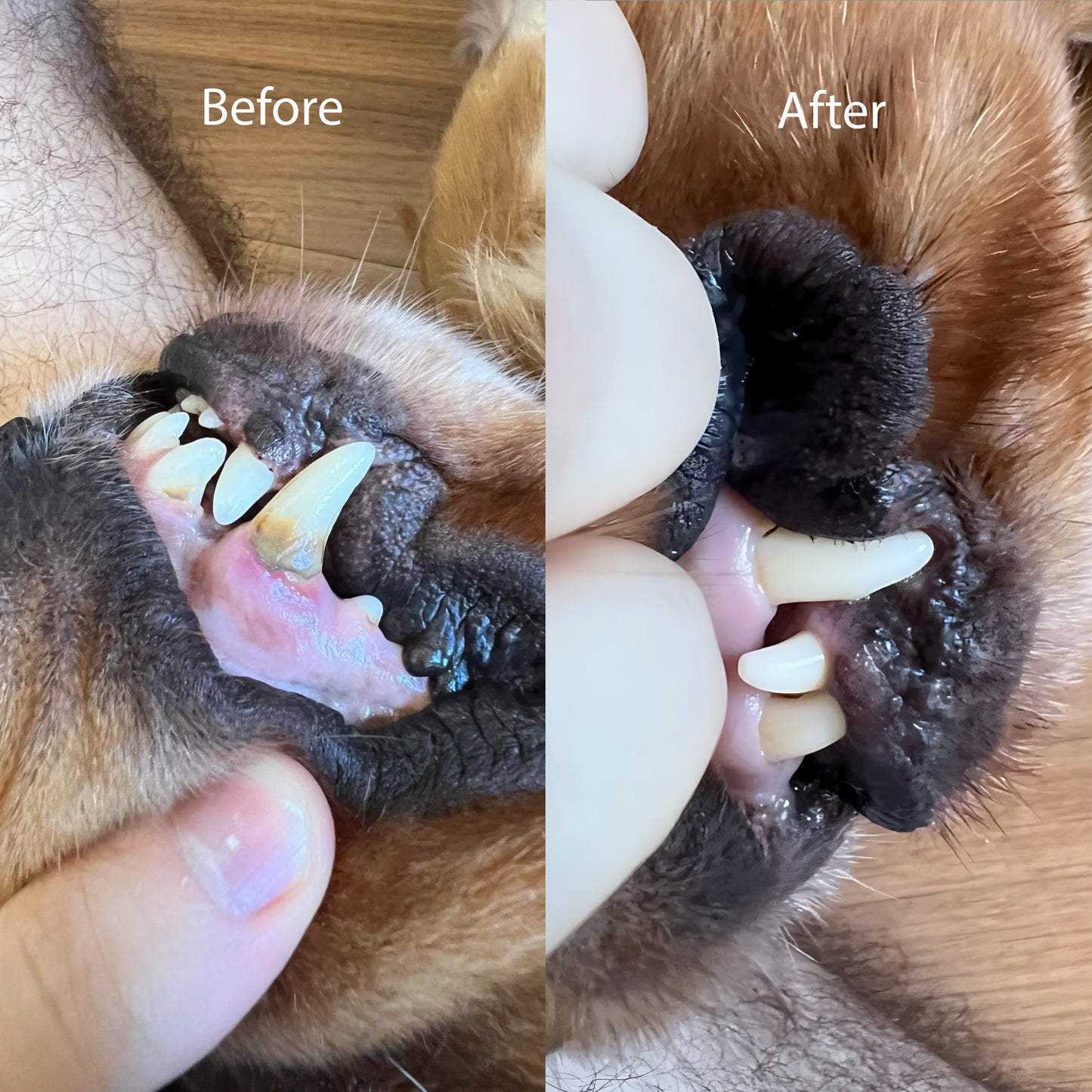 Doggies™ Selenium & Chelated Minerals Dental & Heart Health Chew